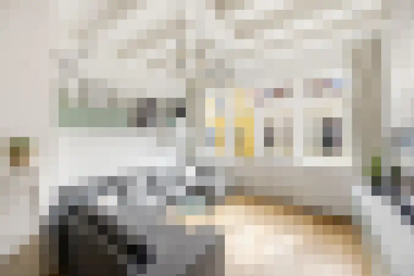 Nieuwstraat 47 Vlissingen thumbnail 17