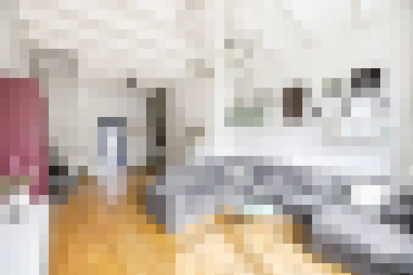 Nieuwstraat 47 Vlissingen thumbnail 20
