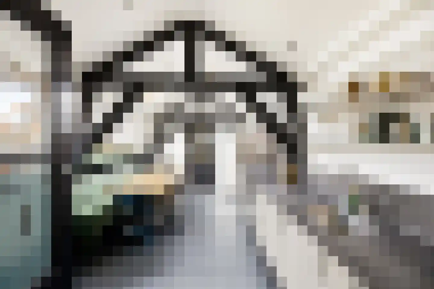 Nieuwstraat 47 Vlissingen thumbnail 22