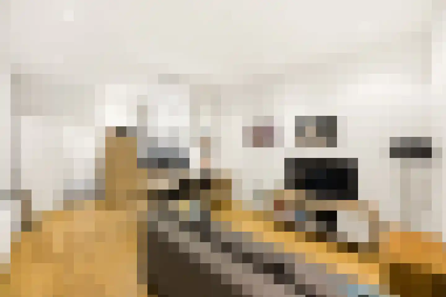 Nieuwstraat 47 Vlissingen thumbnail 6