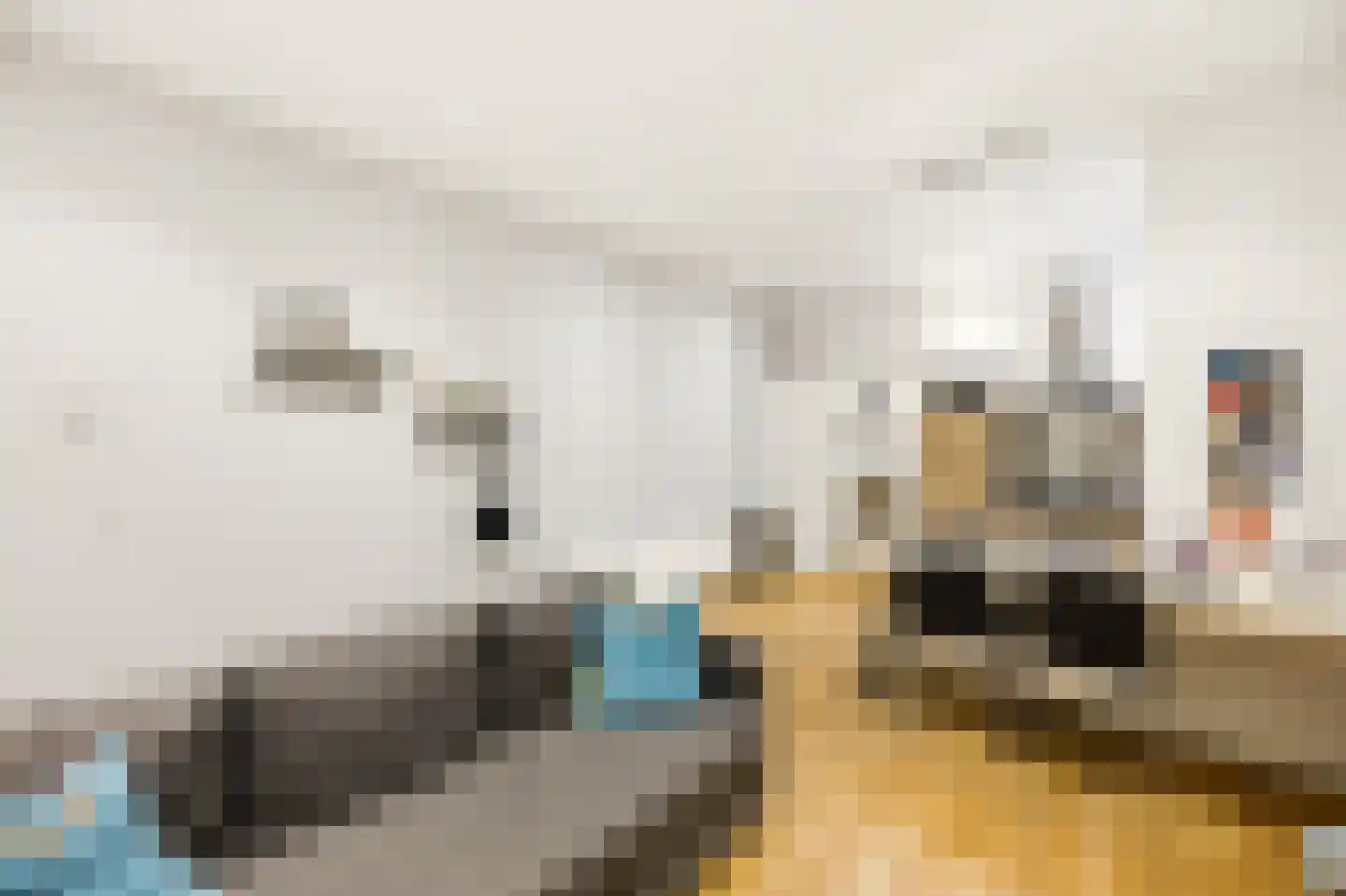 Nieuwstraat 47 Vlissingen thumbnail 8
