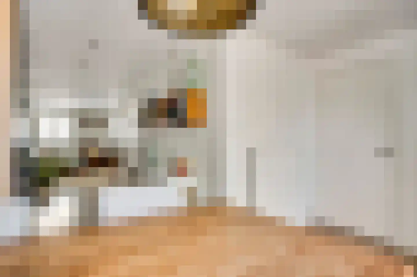 Nieuwstraat 48 a Budel thumbnail 10