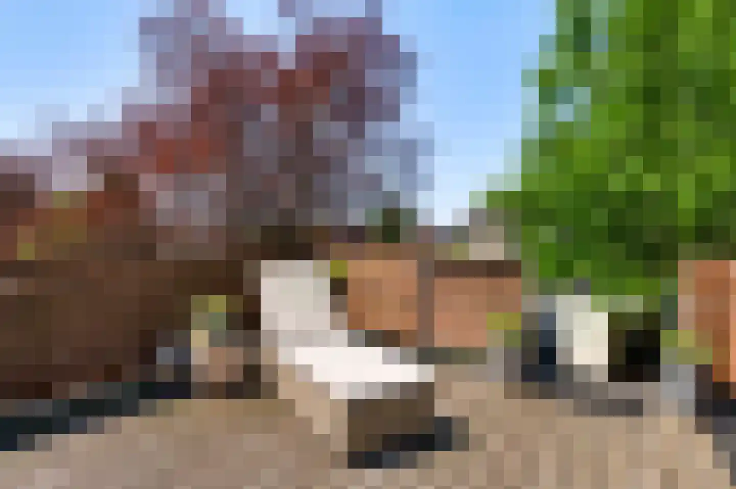 Nieuwstraat 48 a Budel thumbnail 14