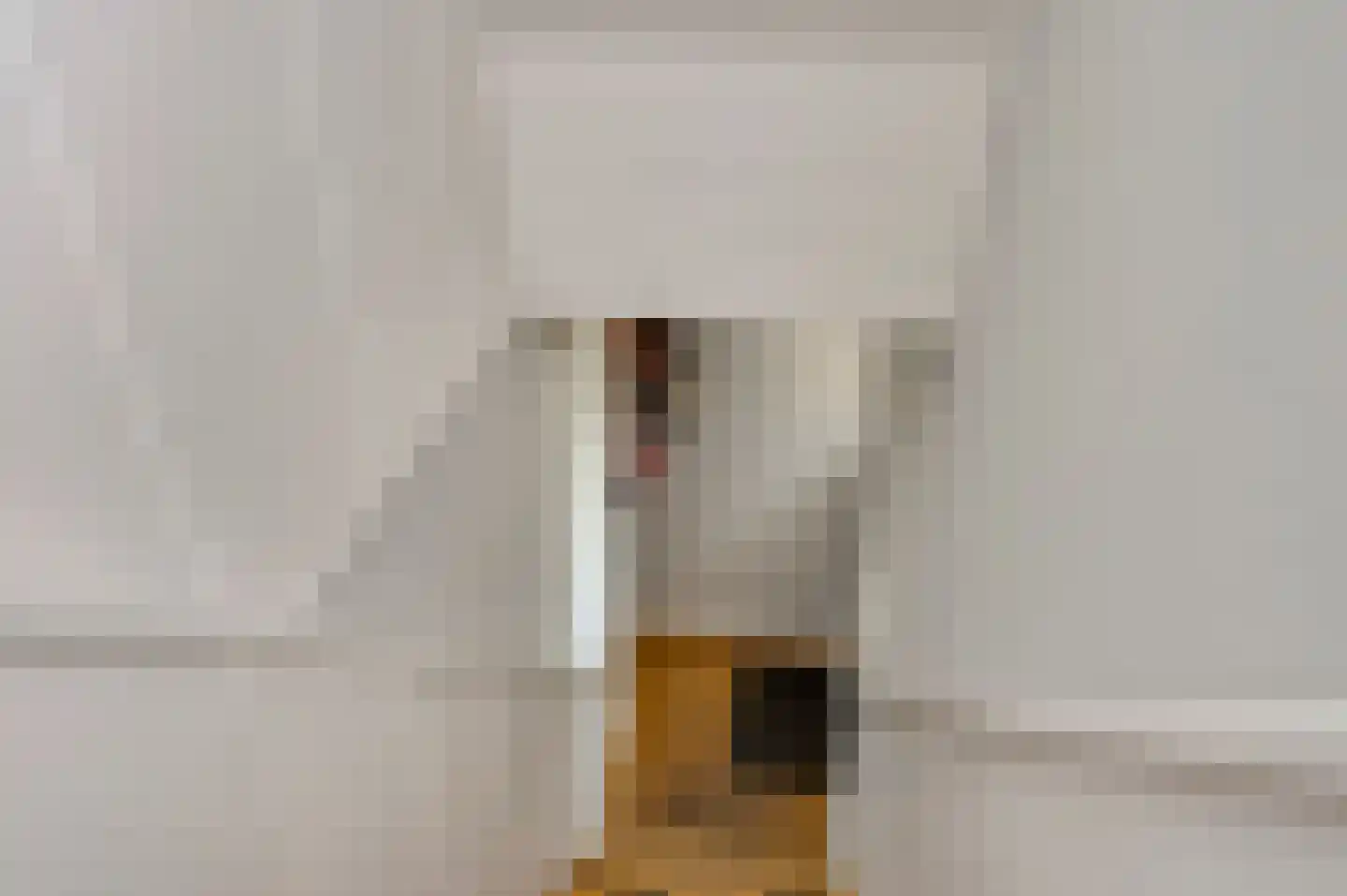 Nieuwstraat 48 a Budel thumbnail 16