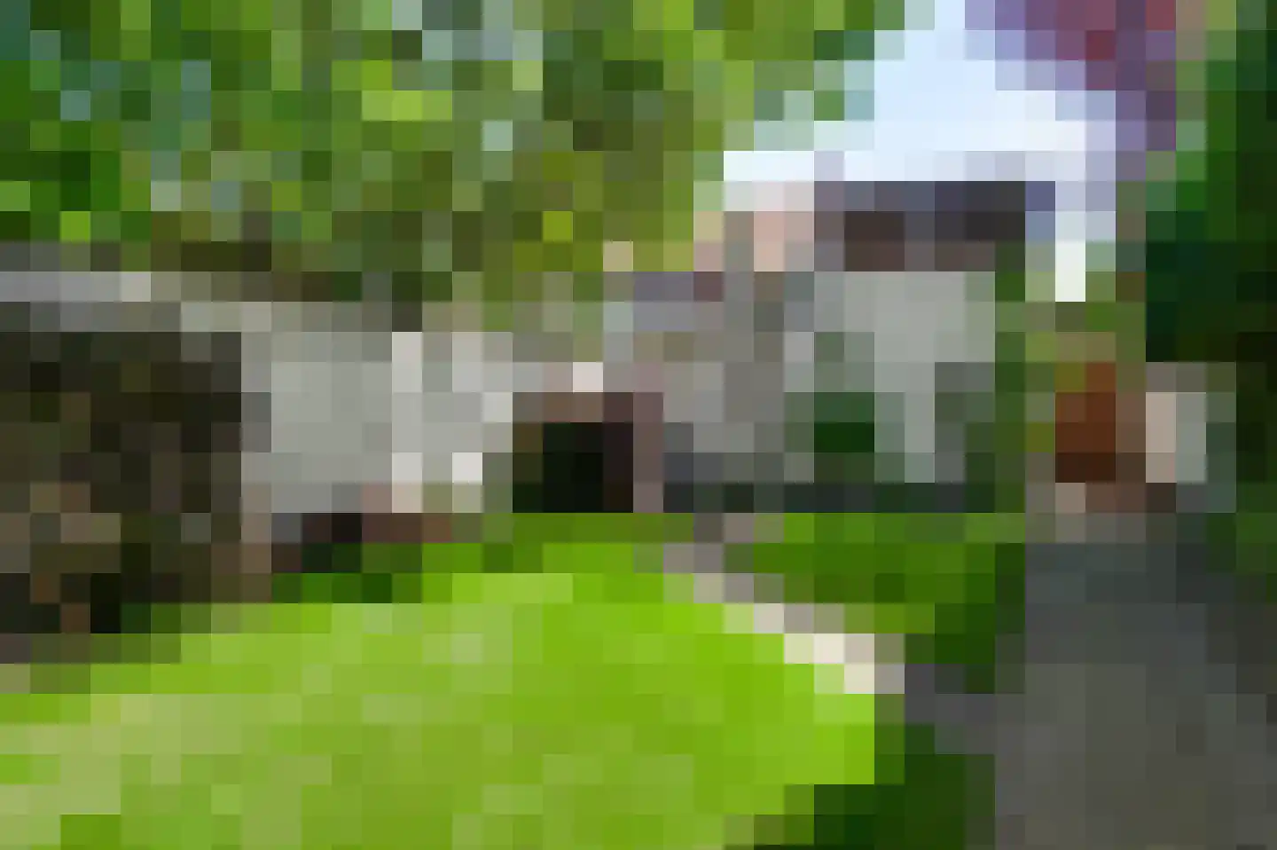 Nieuwstraat 48 a Budel thumbnail 23