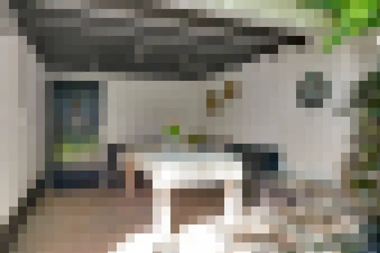 Nieuwstraat 48 a Budel thumbnail 26