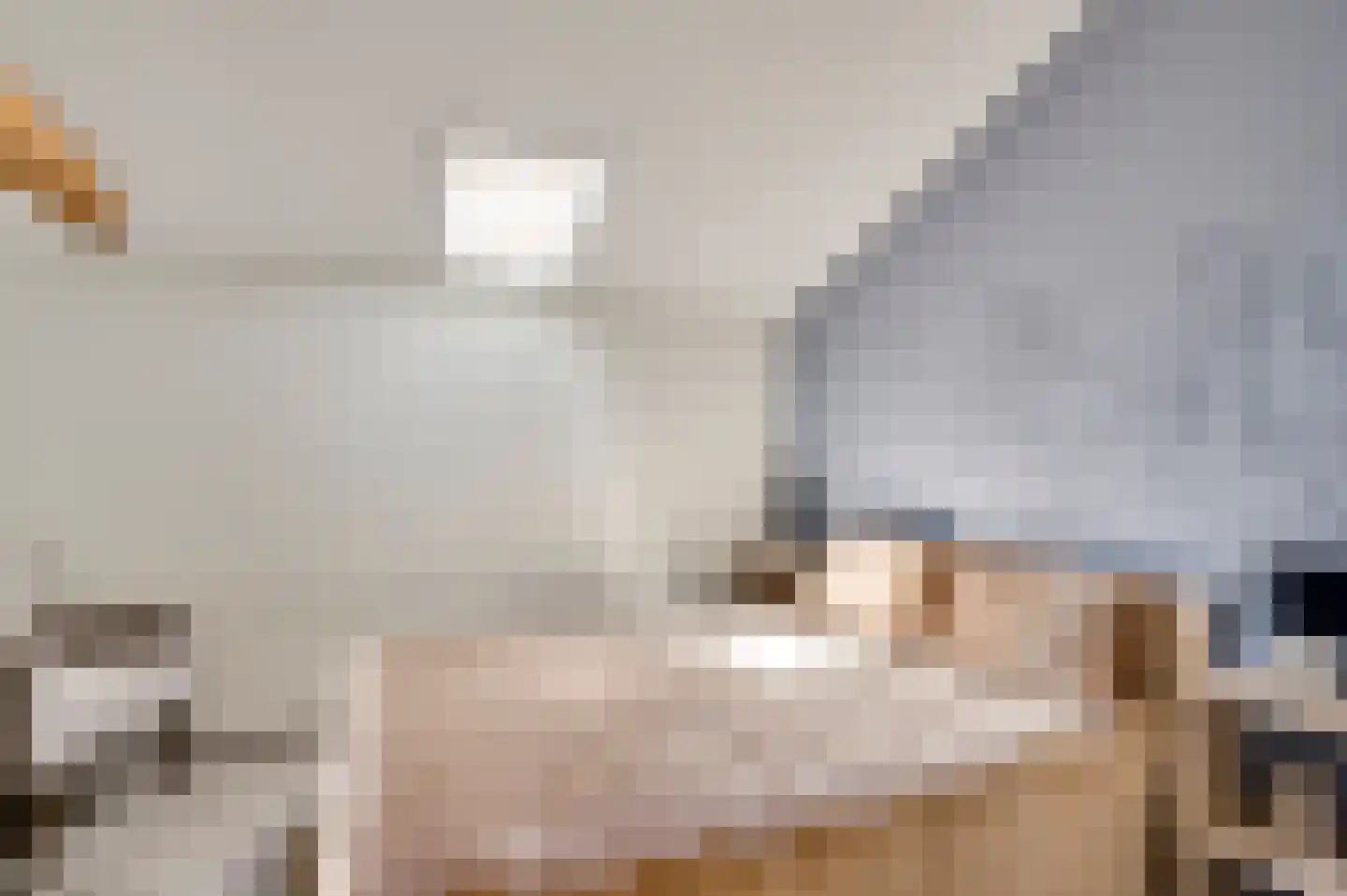 Nieuwstraat 48 a Budel thumbnail 30
