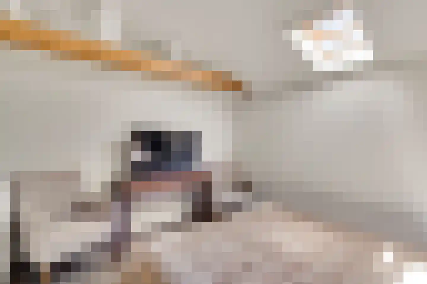 Nieuwstraat 48 a Budel thumbnail 32