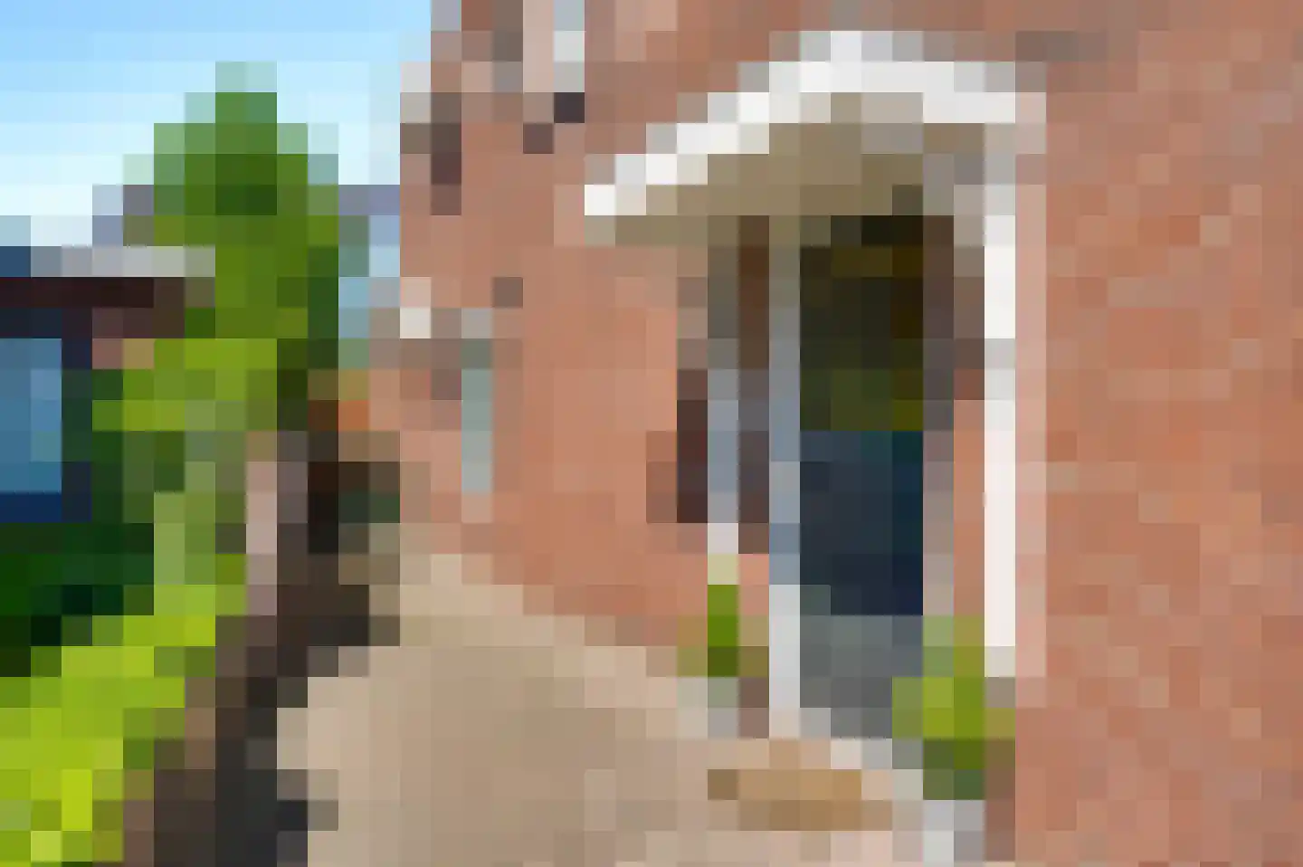 Nieuwstraat 48 a Budel thumbnail 38