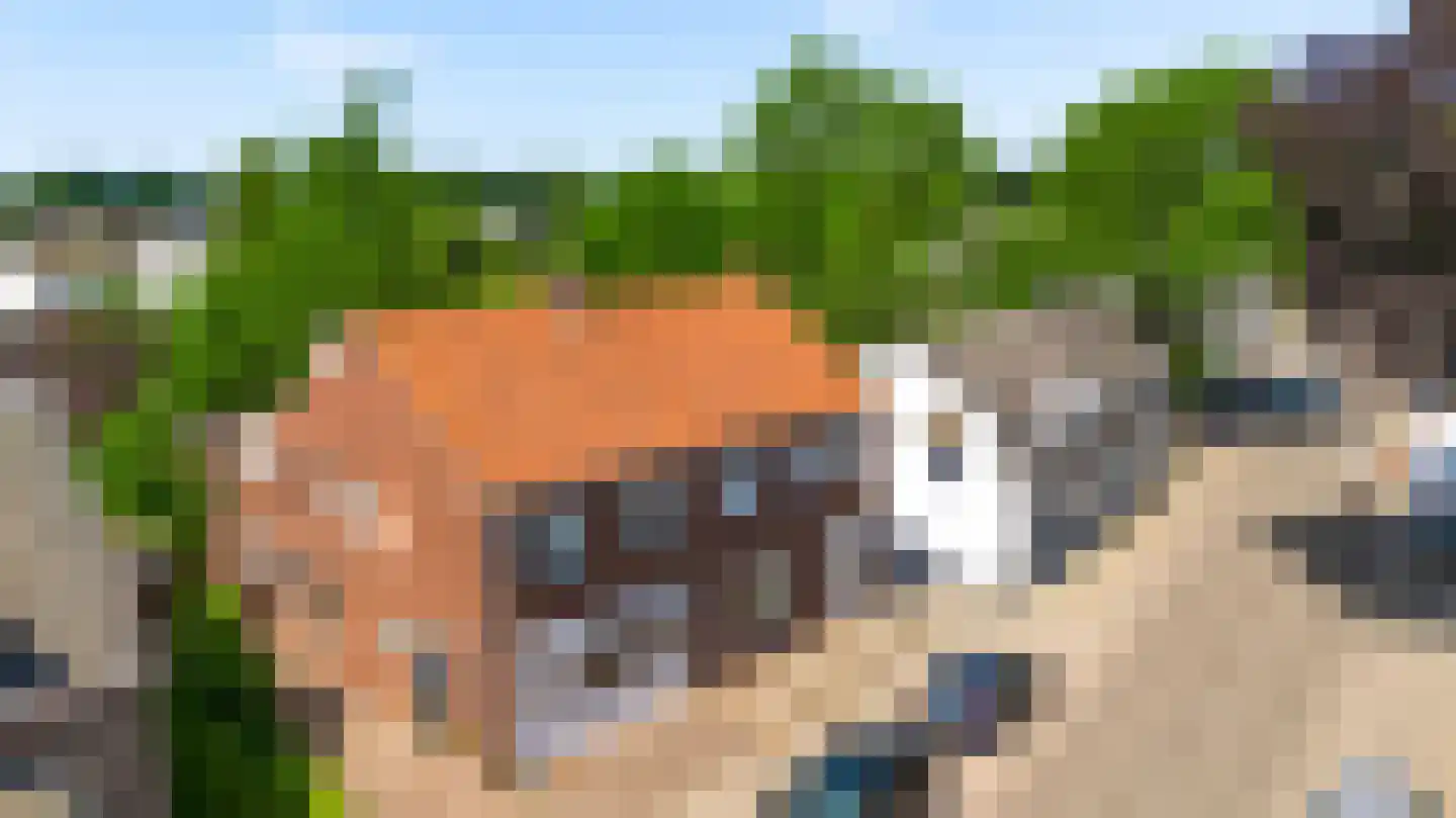 Nieuwstraat 48 a Budel thumbnail 40