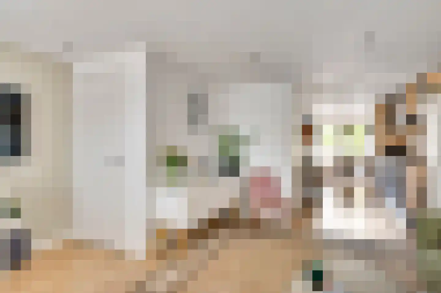 Nieuwstraat 48 a Budel thumbnail 6