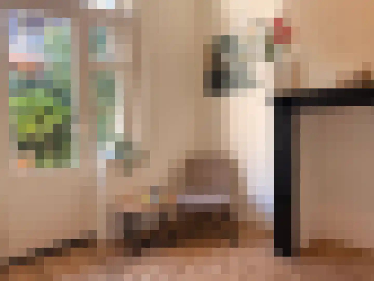 Nieuwstraat 48 Groningen thumbnail 12