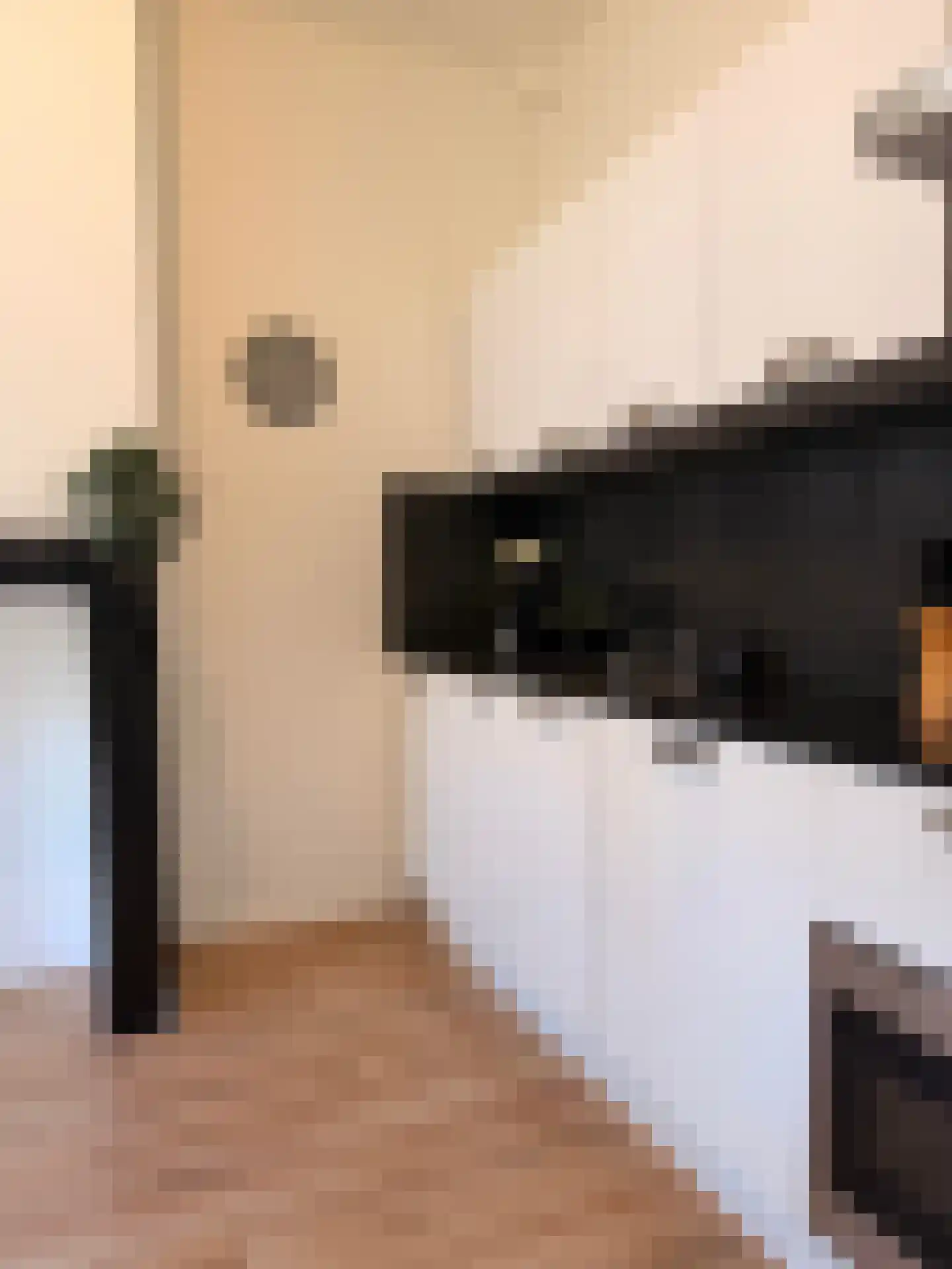 Nieuwstraat 48 Groningen thumbnail 13