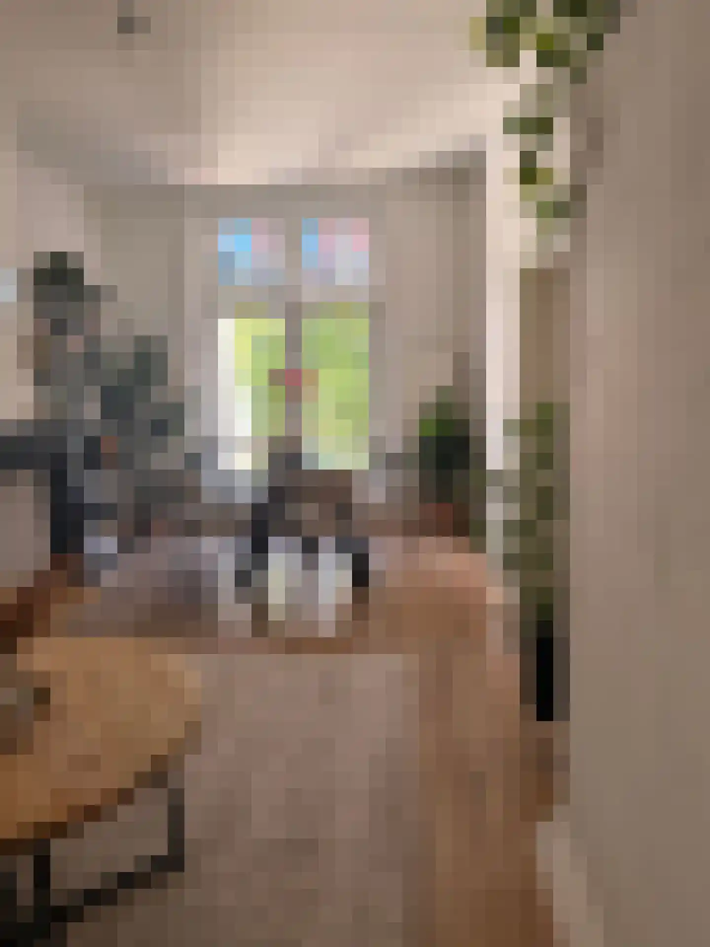 Nieuwstraat 48 Groningen thumbnail 22