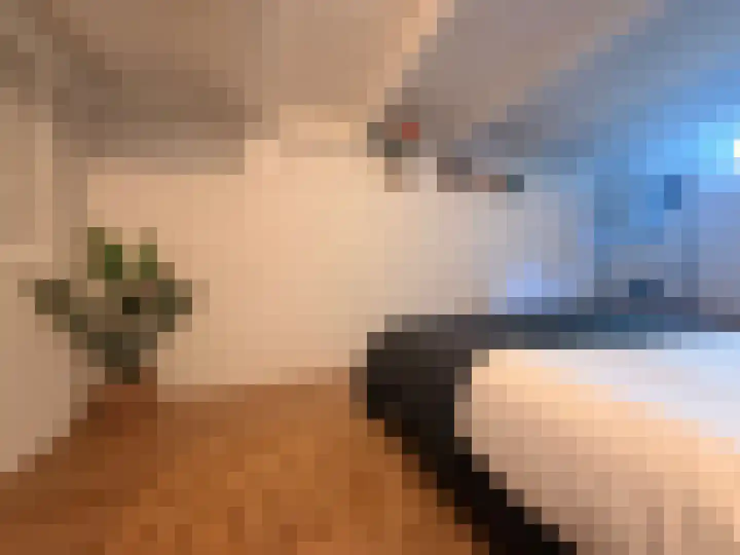 Nieuwstraat 48 Groningen thumbnail 26