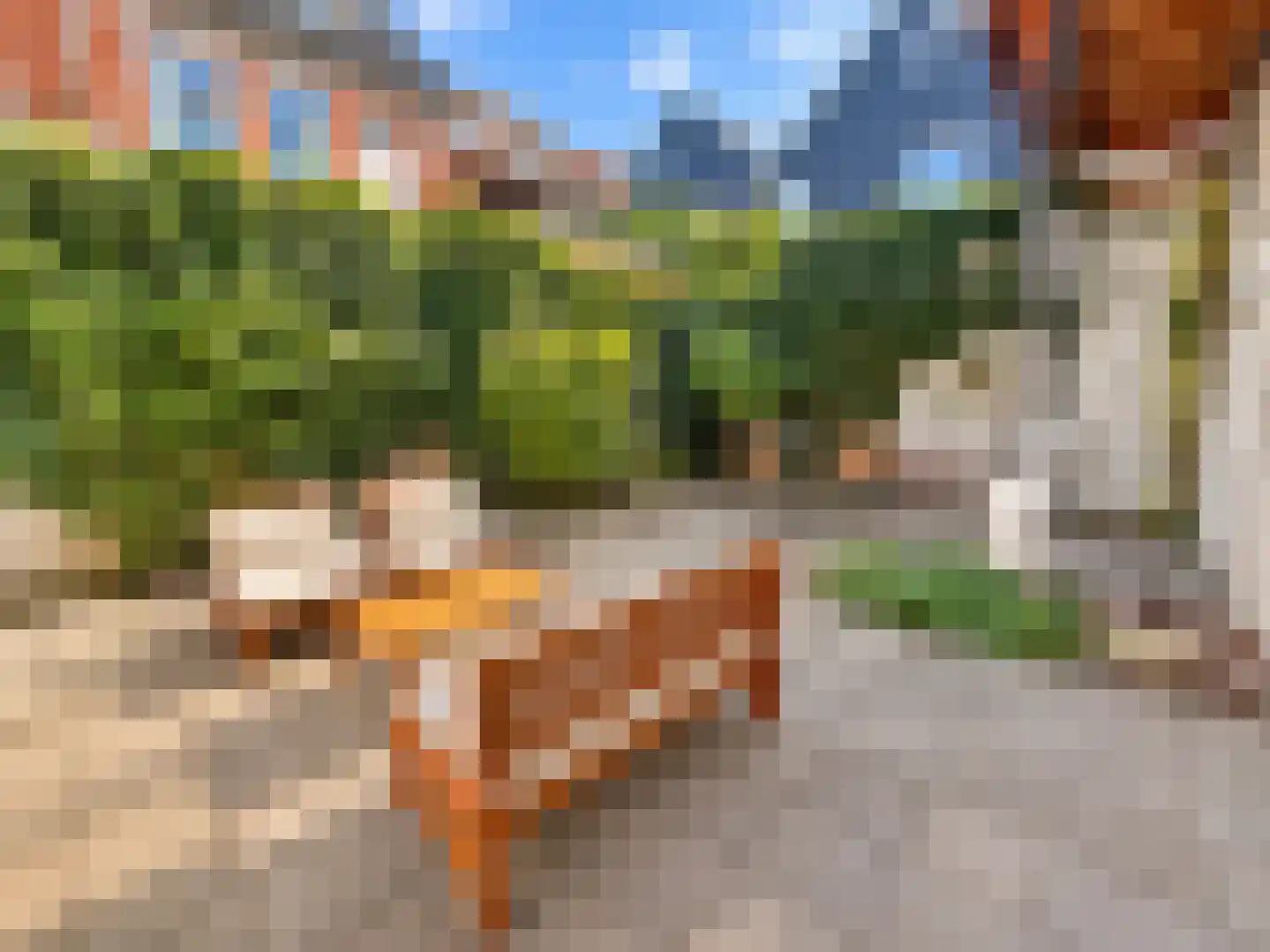 Nieuwstraat 48 Groningen thumbnail 30