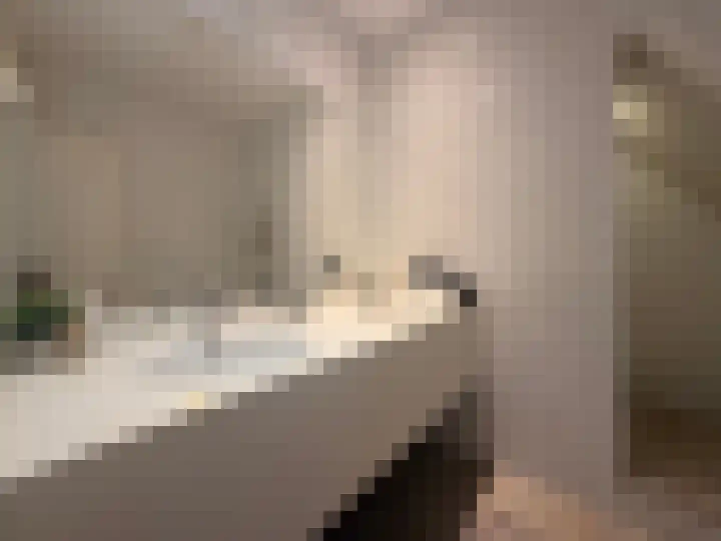 Nieuwstraat 48 Groningen thumbnail 8