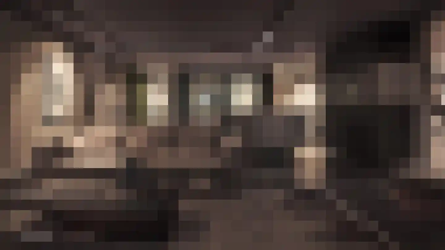 Nieuwstraat 48 Venlo thumbnail 25