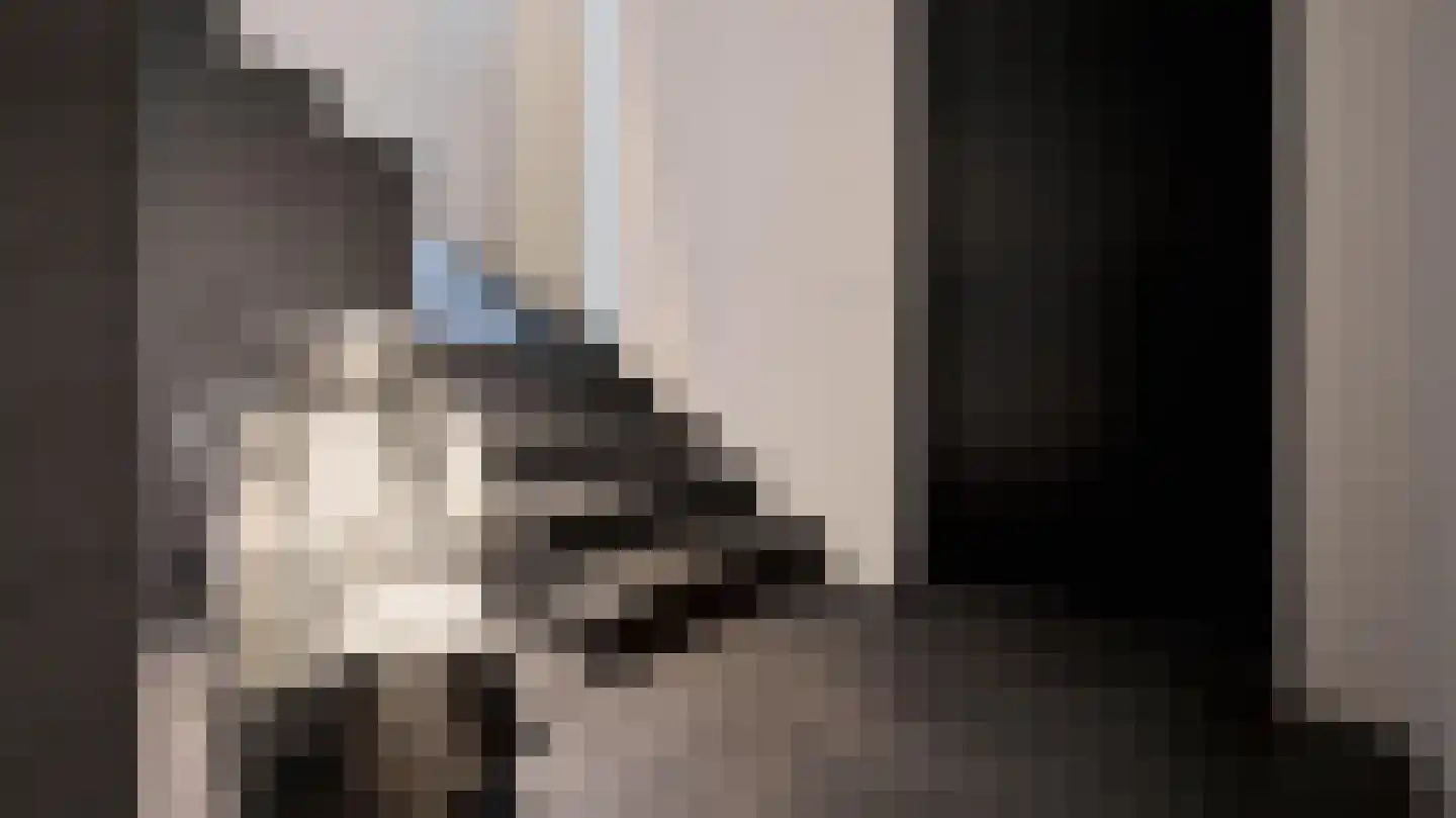 Nieuwstraat 48 Venlo thumbnail 4