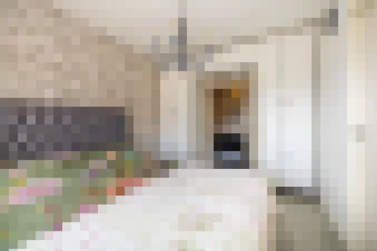 Nieuwstraat 49 C Purmerend thumbnail 22