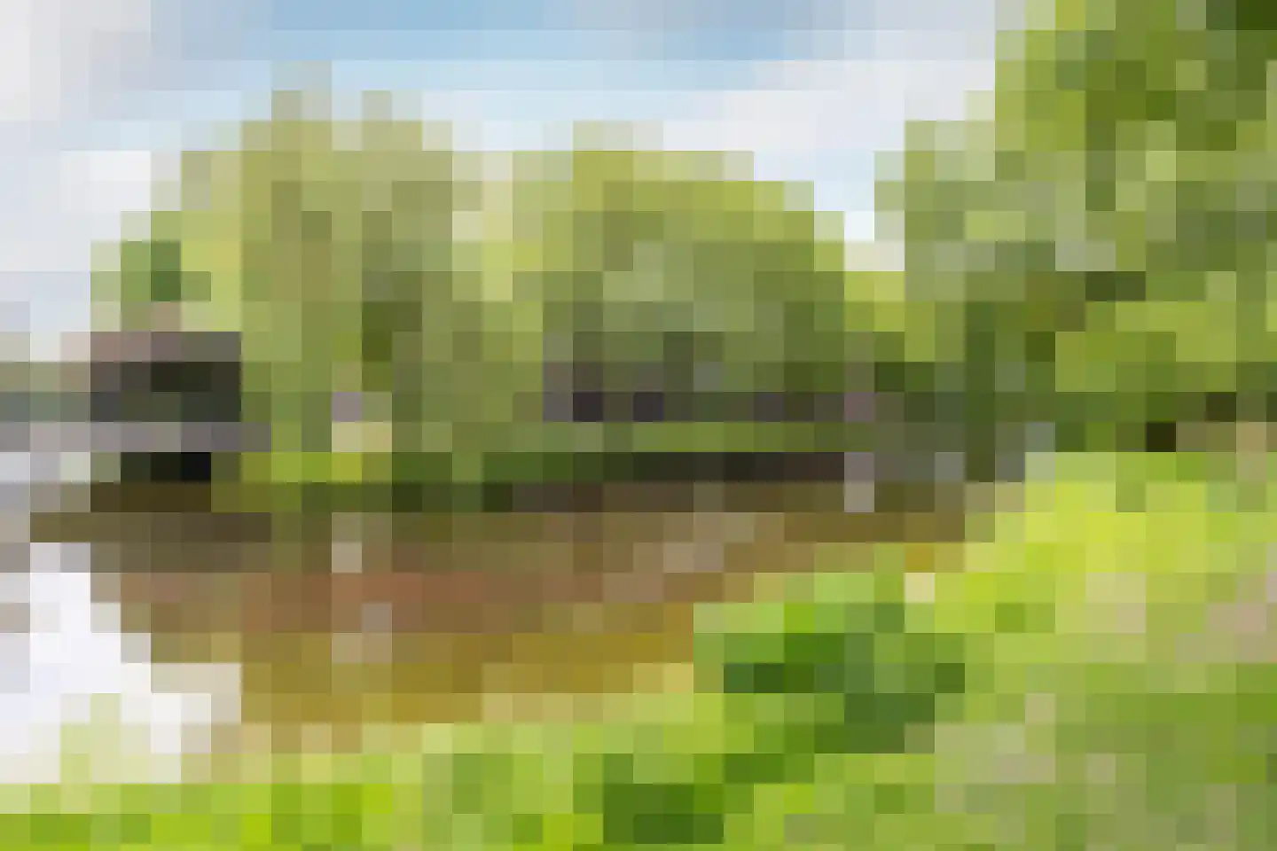 Nieuwstraat 49 C Purmerend thumbnail 33