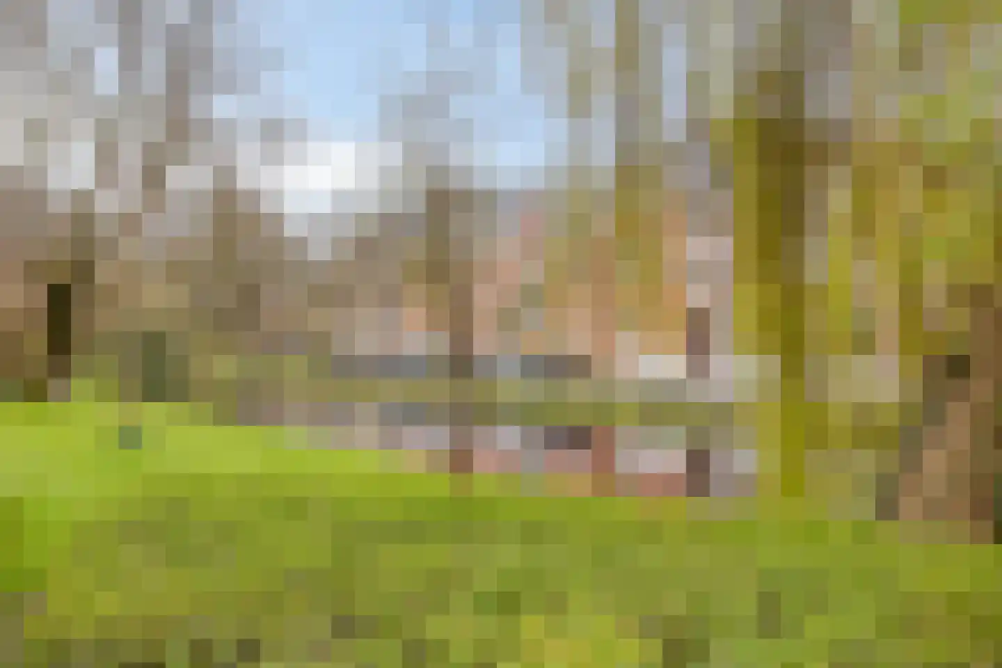 Nieuwstraat 49 F Purmerend thumbnail 23