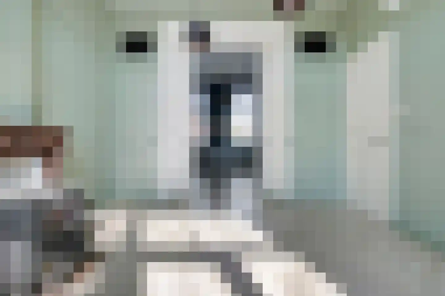 Nieuwstraat 49 Koewacht thumbnail 13