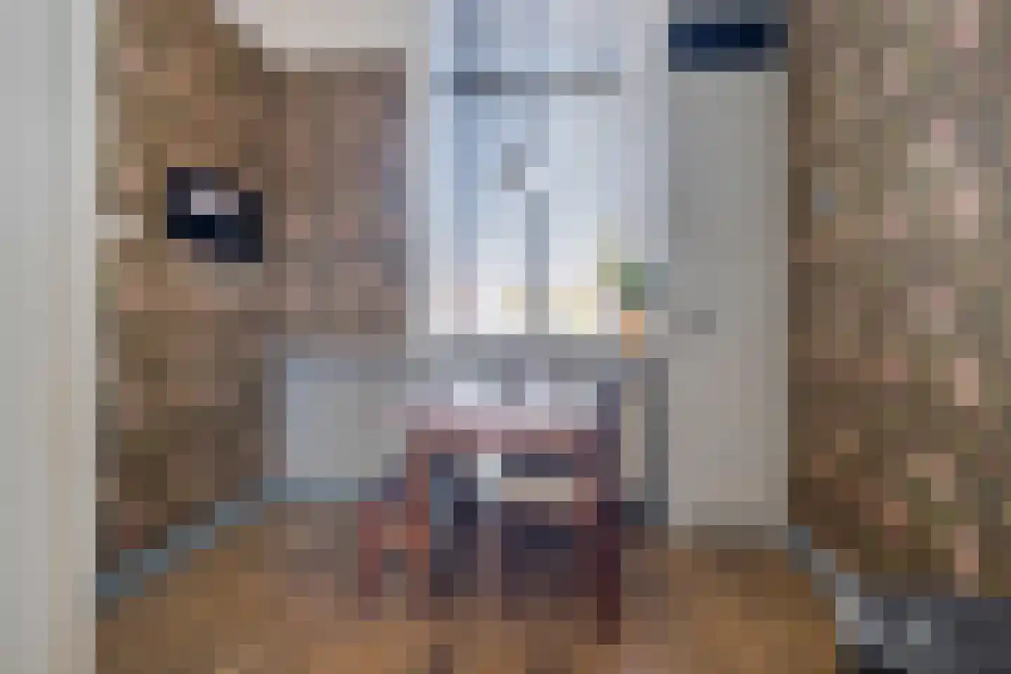 Nieuwstraat 49 Koewacht thumbnail 18