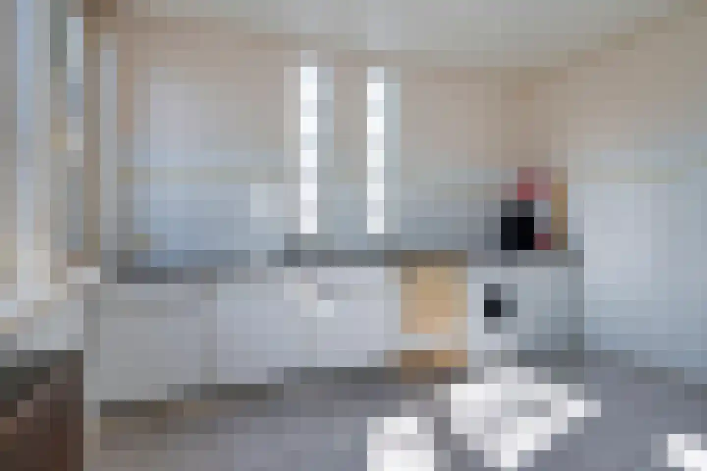 Nieuwstraat 49 Koewacht thumbnail 22