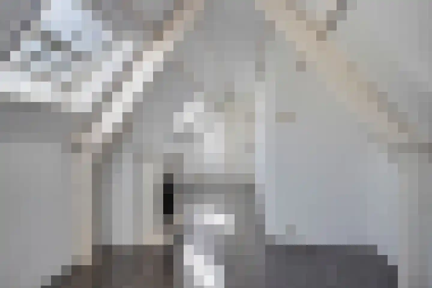 Nieuwstraat 49 Koewacht thumbnail 31