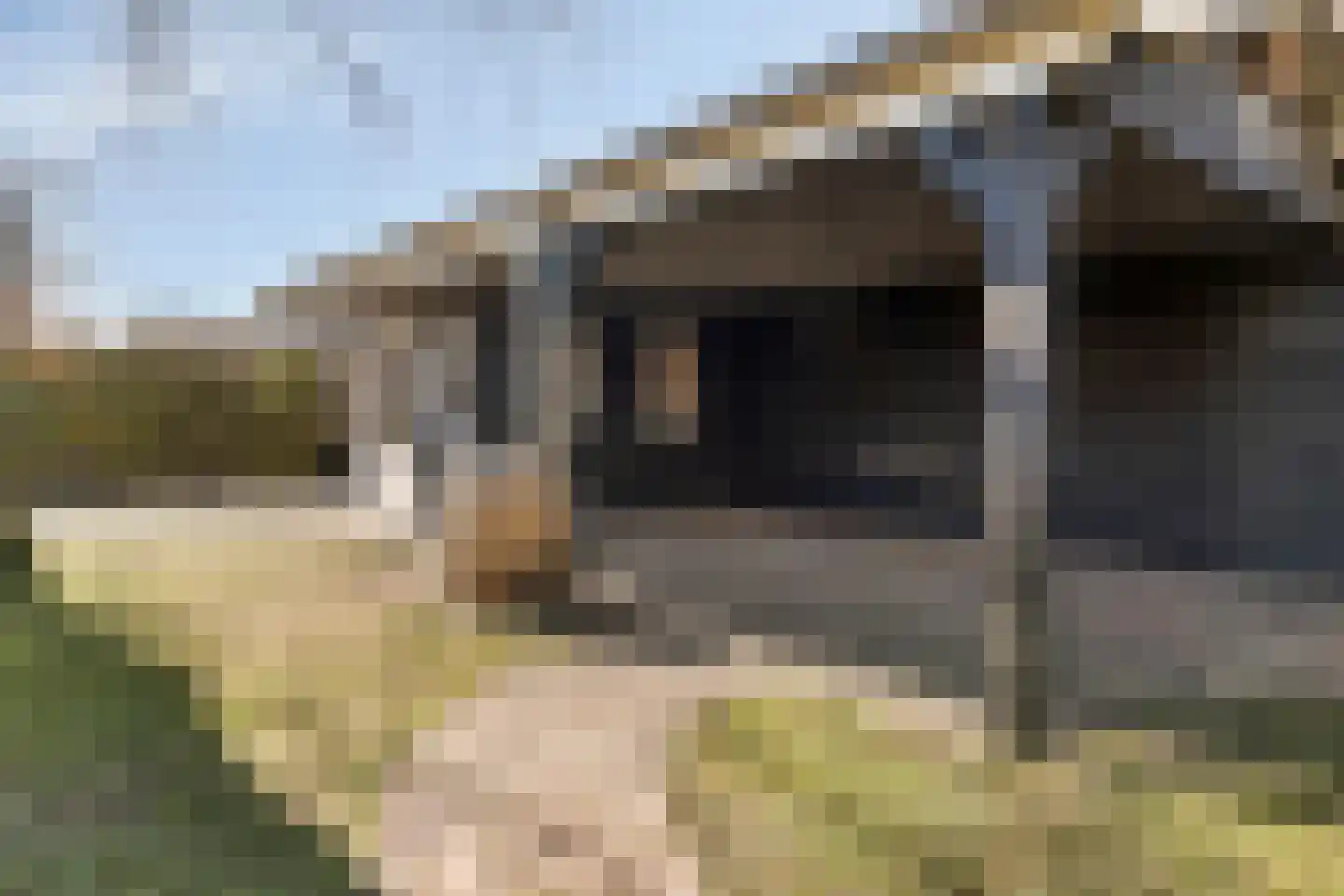 Nieuwstraat 49 Koewacht thumbnail 34