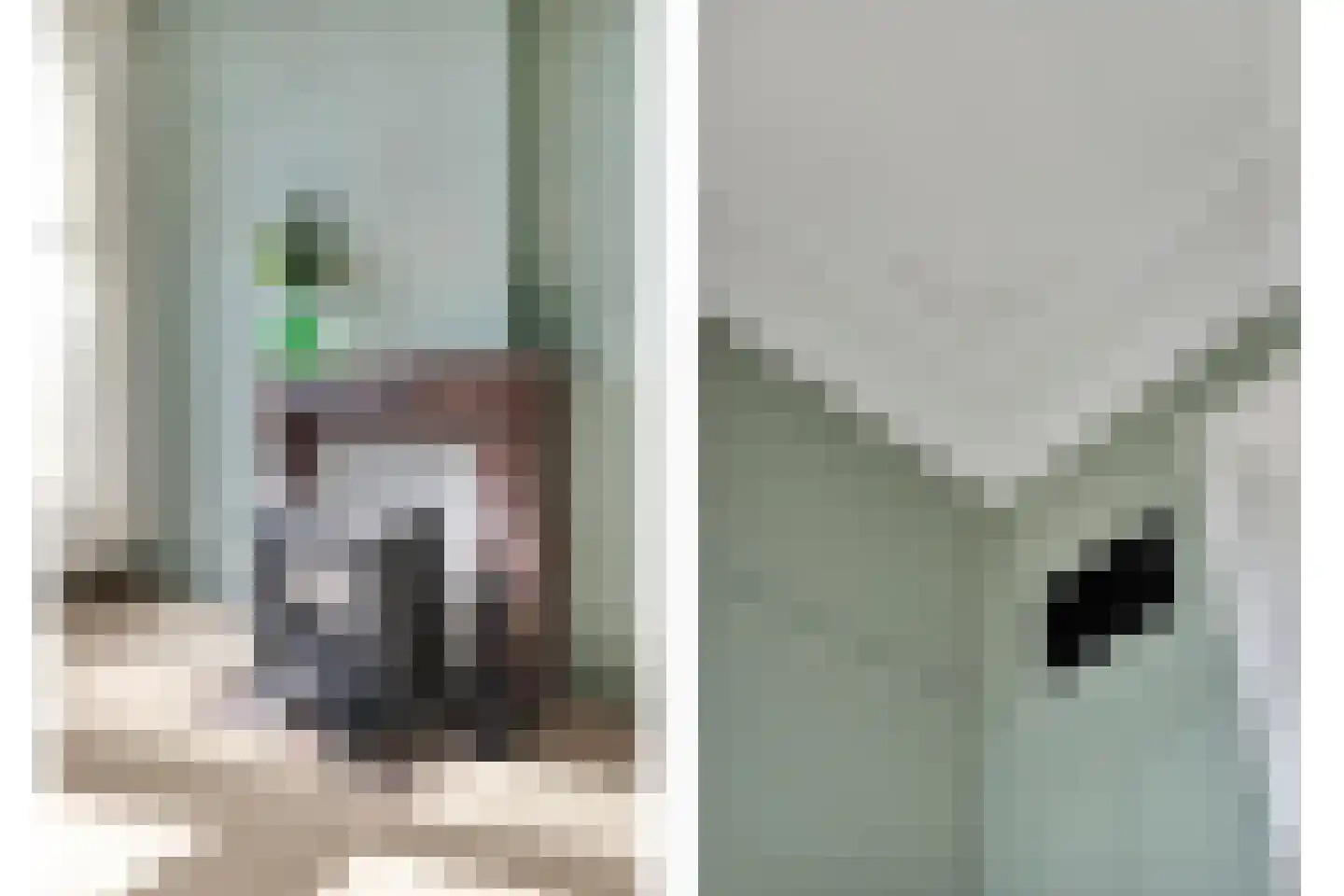 Nieuwstraat 49 Koewacht thumbnail 41
