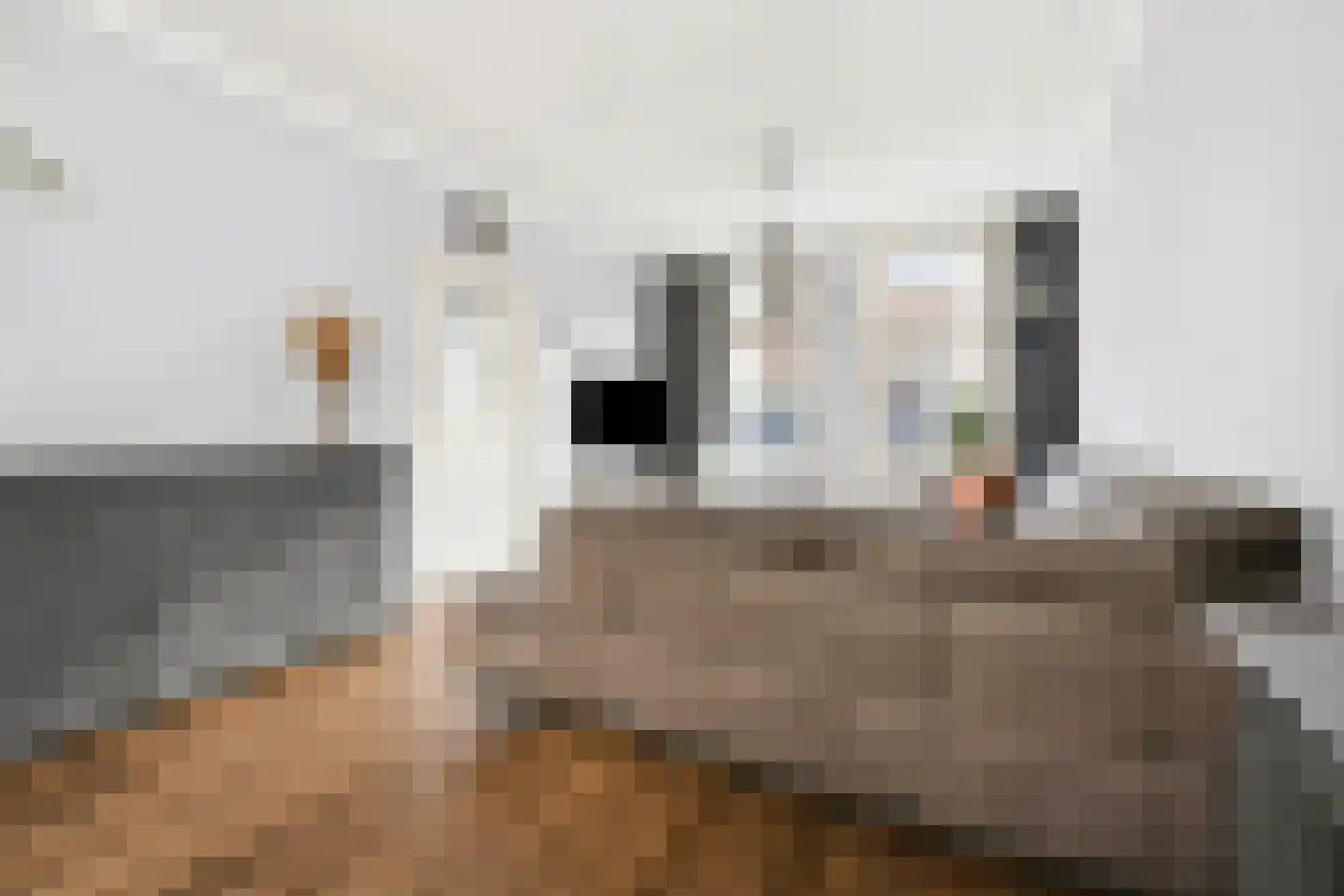 Nieuwstraat 5 Bodegraven thumbnail 11