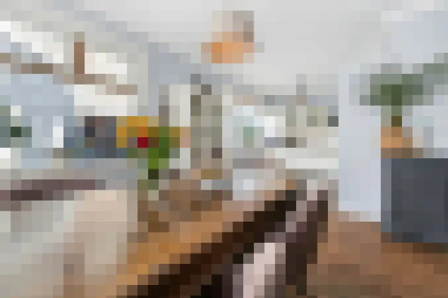 Nieuwstraat 5 Bodegraven thumbnail 16