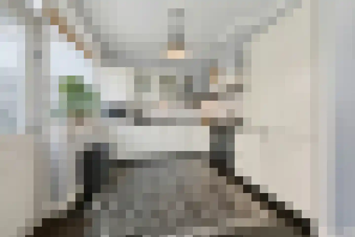 Nieuwstraat 5 Bodegraven thumbnail 19