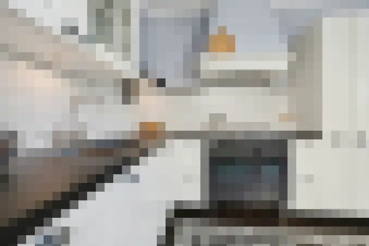 Nieuwstraat 5 Bodegraven thumbnail 23