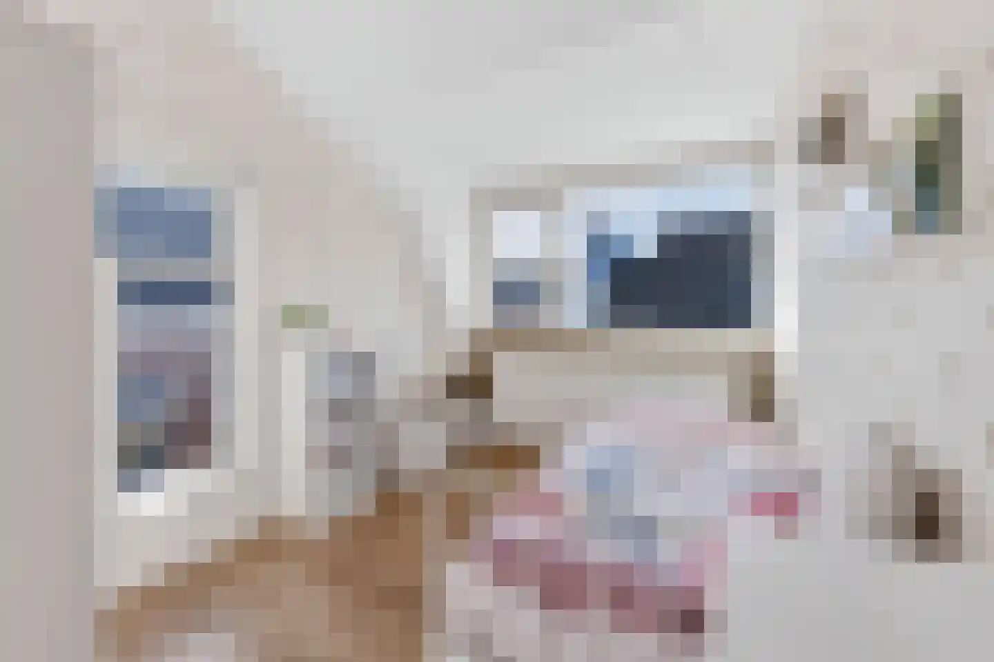 Nieuwstraat 5 Bodegraven thumbnail 32