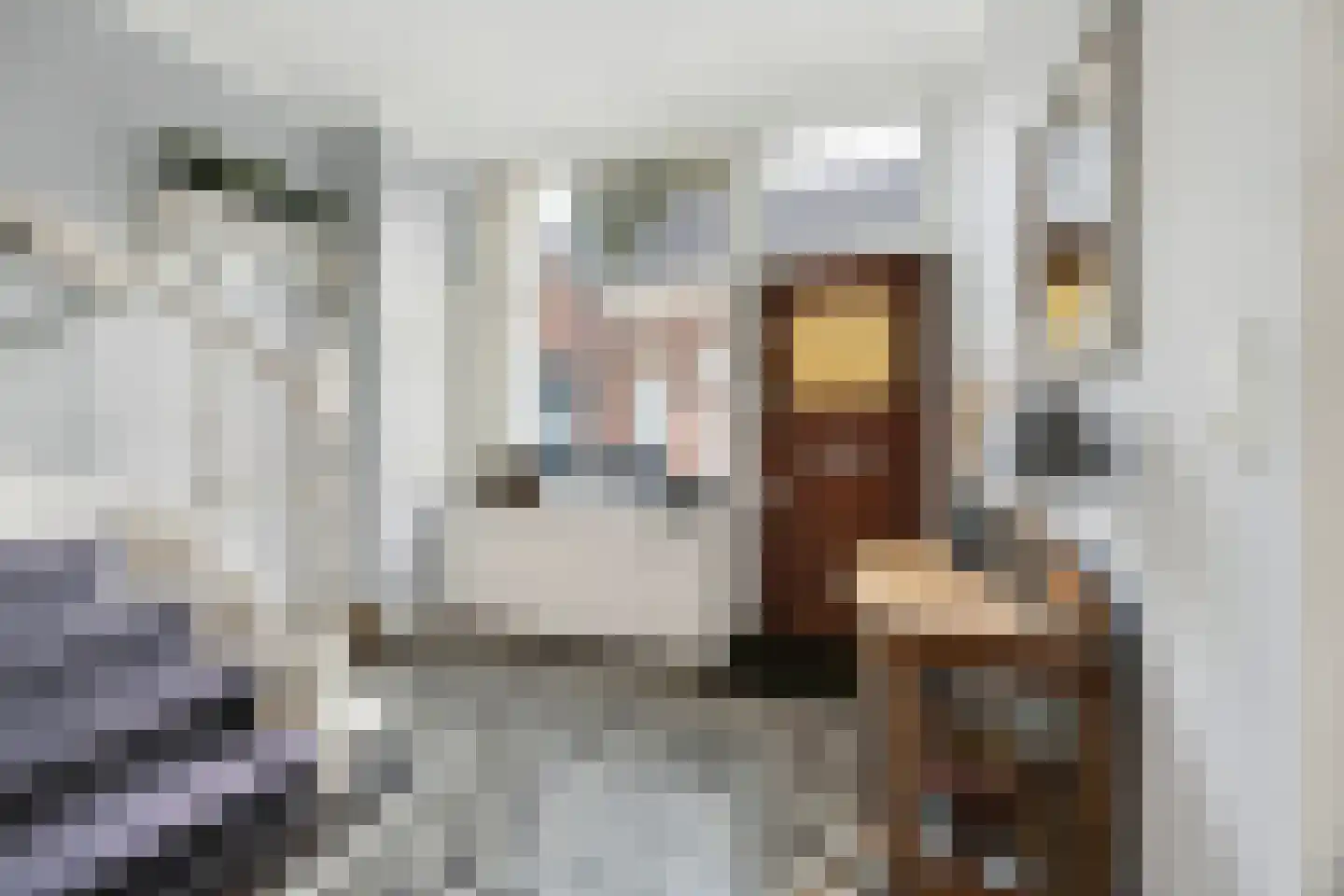 Nieuwstraat 5 Bodegraven thumbnail 6
