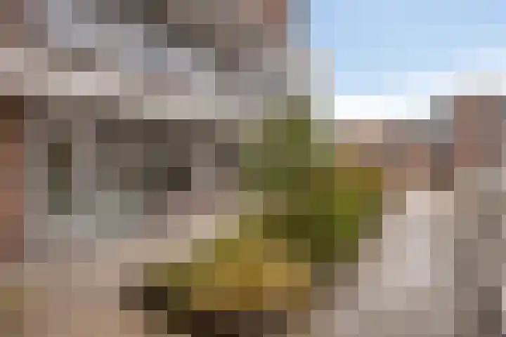 Nieuwstraat 5 E Apeldoorn thumbnail 17