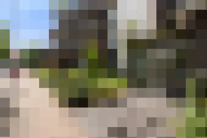 Nieuwstraat 5 F Apeldoorn thumbnail 20