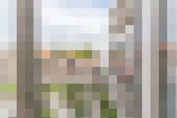 Nieuwstraat 5 R Apeldoorn thumbnail 6