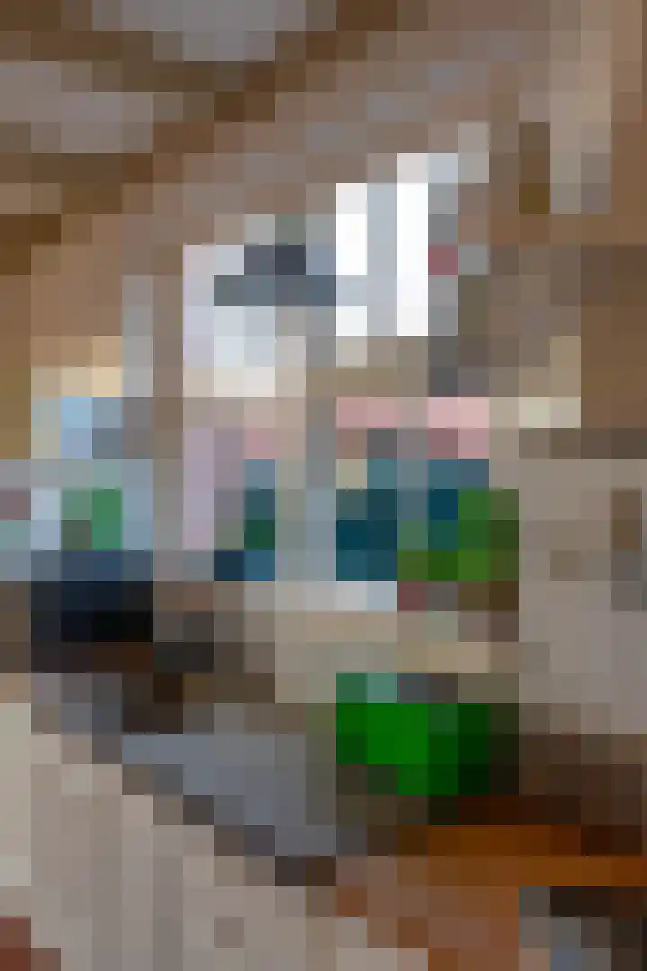 Nieuwstraat 5 Winsum thumbnail 21