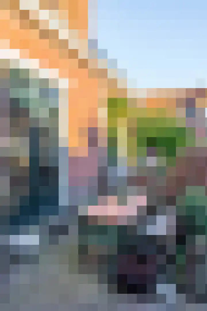 Nieuwstraat 5 Winsum thumbnail 33