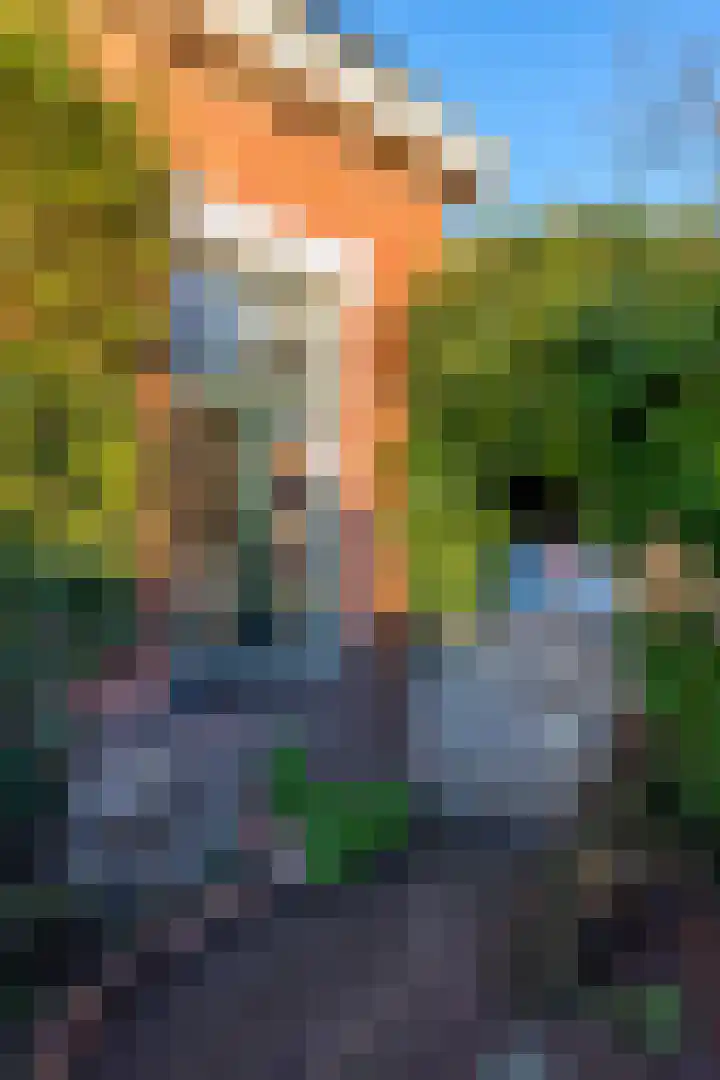 Nieuwstraat 5 Winsum thumbnail 37