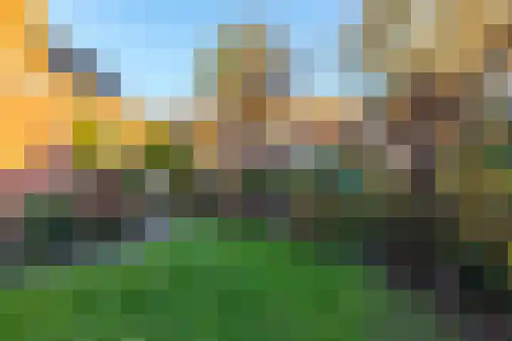 Nieuwstraat 5 Winsum thumbnail 39