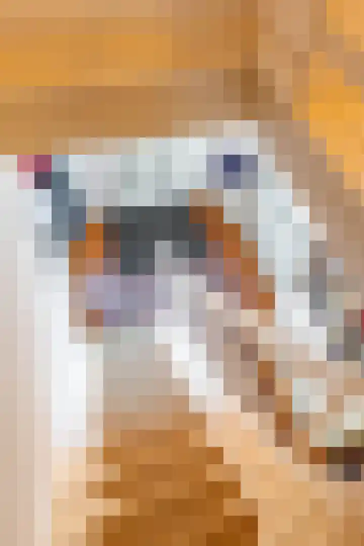 Nieuwstraat 5 Winsum thumbnail 51