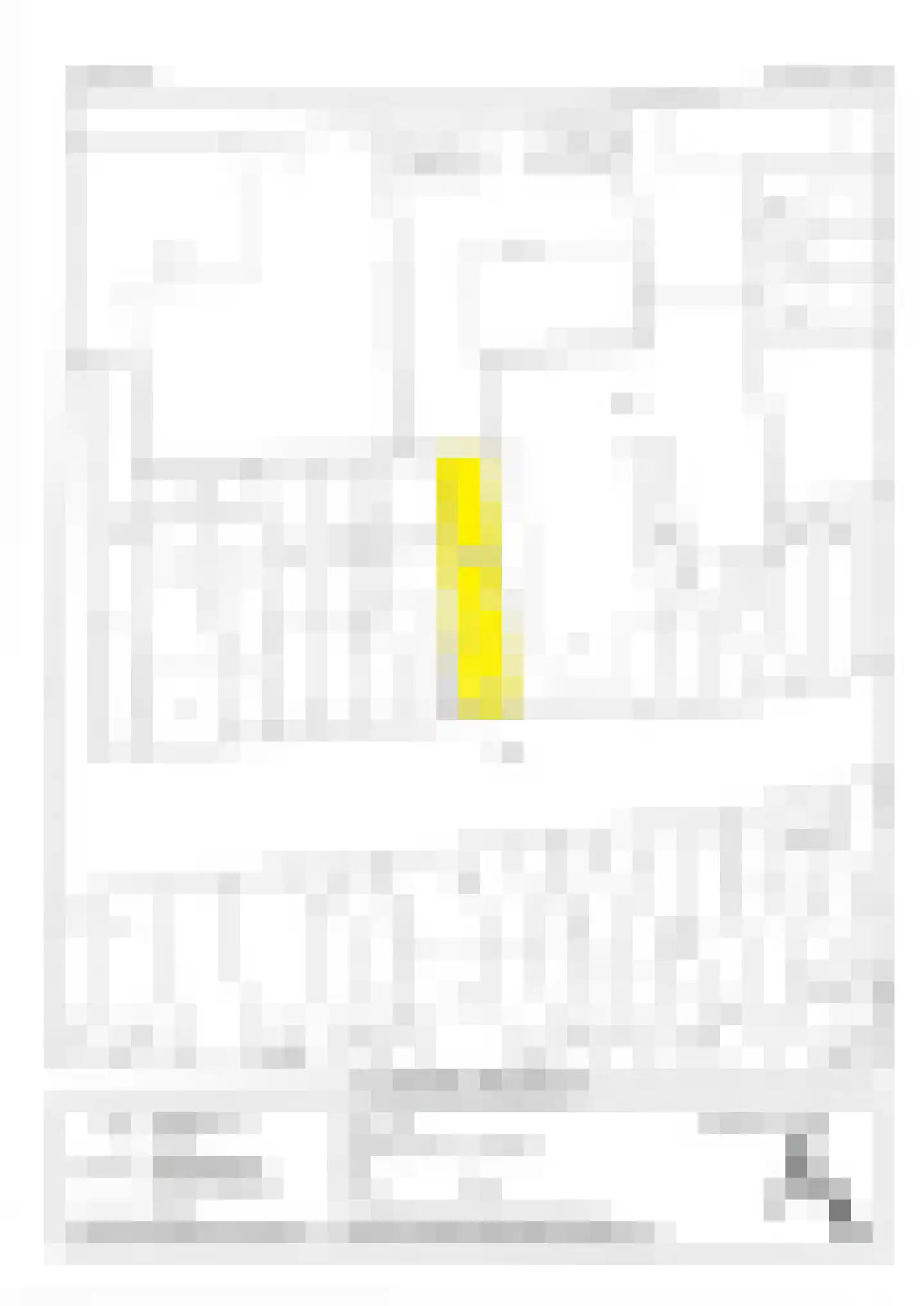 Nieuwstraat 51 a Almelo thumbnail 19