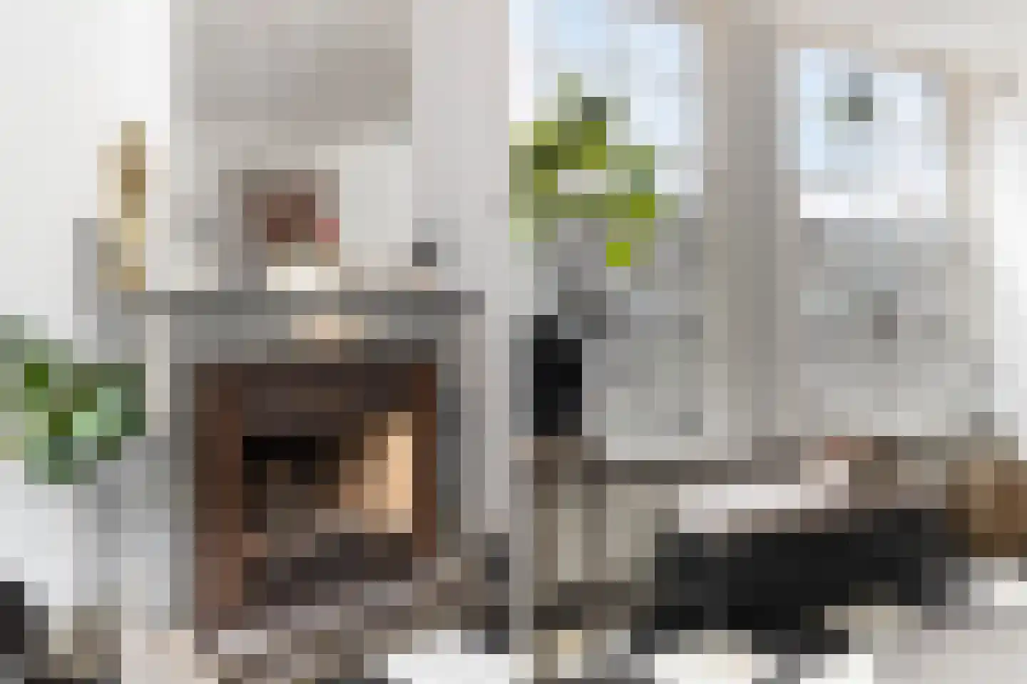 Nieuwstraat 52 Dordrecht thumbnail 10