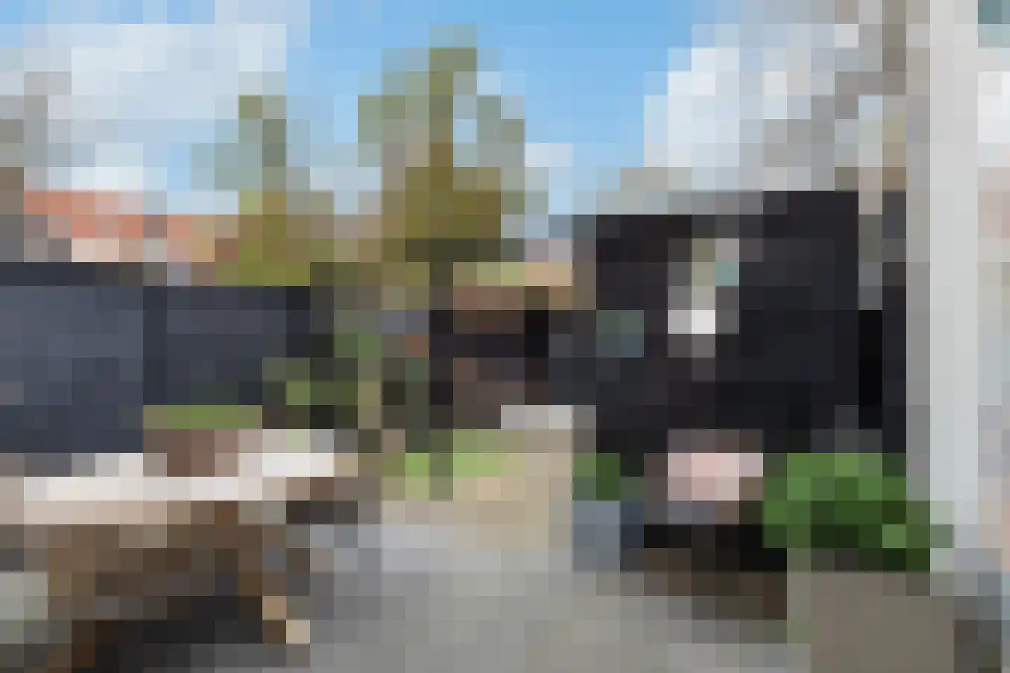 Nieuwstraat 52 Dordrecht thumbnail 17