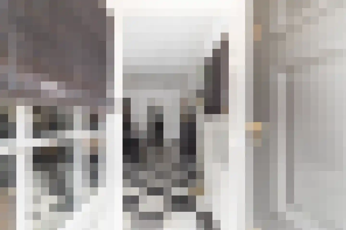 Nieuwstraat 52 Dordrecht thumbnail 6